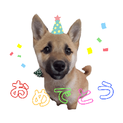 ふくちゃんスタンプ♥️～日常編～