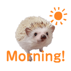 くーちゃんスタンプ2!