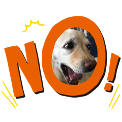 ティンカームーミン