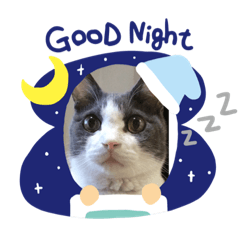 ウチにゃんスタンプ