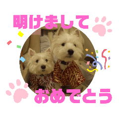 フロレベすたんぷ お祝い事 version