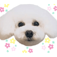 ふわふわむーちゃん2