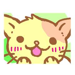 ワンピを着た猫