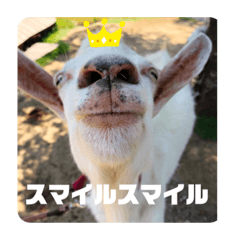 ワタシノズースタンプ