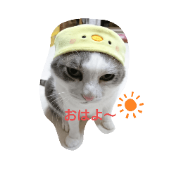 福の日常にゃん