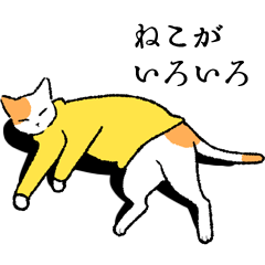 ねこがいろいろ