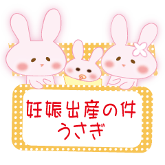 妊娠出産の件。うさぎ