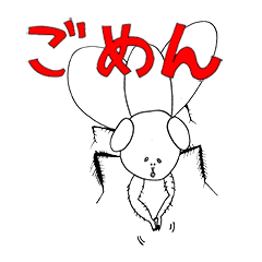 奈良県橿原市の昆虫たち