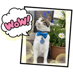 都子とおこちゃんの日常語