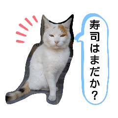 ねこミルク