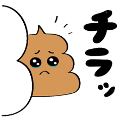毎日うんち