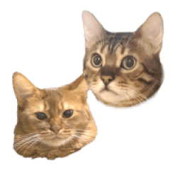 つなくんてらちゃん