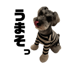 山脇さんちのハクくん3