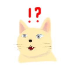 関大にいるネコとフレンズ。オールスター