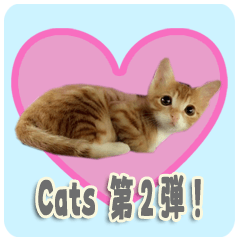 ネコの毎日使えるスタンプ第2弾！