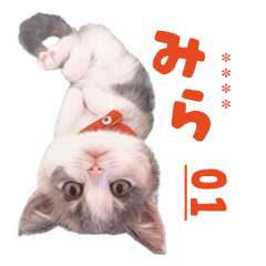 くじら座のみら vol.01