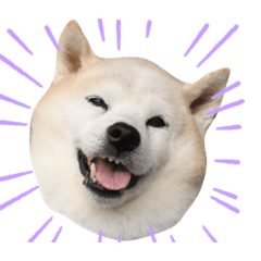 山田ポン吉くんなのだワン