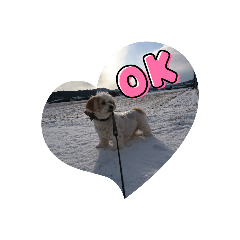 ラッシュのスタンプ