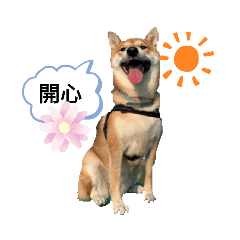 Olivia_20211010121935