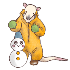 かわいいやつら３　～パンダとコアリクイ～