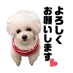 みるくおぼっちゃまの日常②