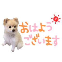 めいちゃんの会話すたんぷ