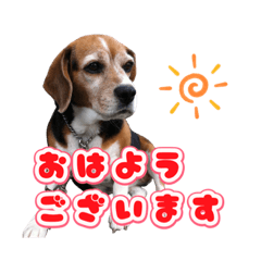 メルたんのスタンプ　vol.1