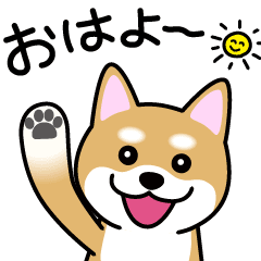 Cute! 動く! 柴犬スタンプ
