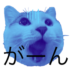 取り敢えず猫で返信