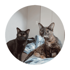 夜々＆緋々 スタンプ