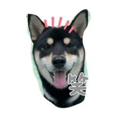 Ching_20221021235947