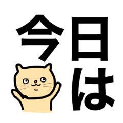 今日はどこ行く？？