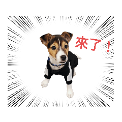 Henry_20230120202416