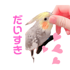 オカメインコちゃん〜ベル＆ゴマ〜スタンプ