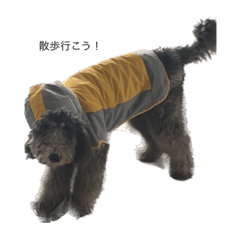 文太くんのスタンプ