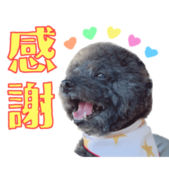 ポロンティーヤ