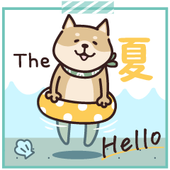 しばいぬ♡夏ですね