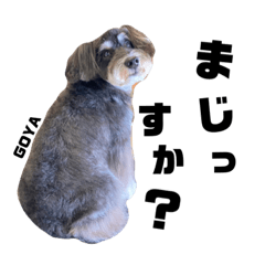 シュナウザーのヘチマとゴーヤのスタンプ