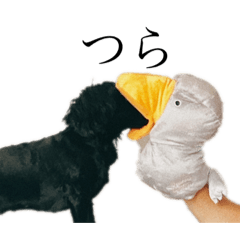 はなまるの毎日