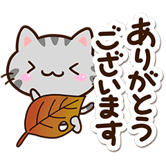 小さいアメショ【秋】