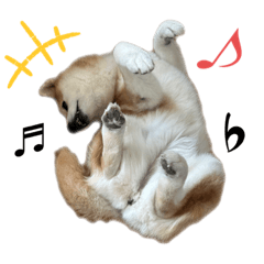 アッピー様のお言葉。