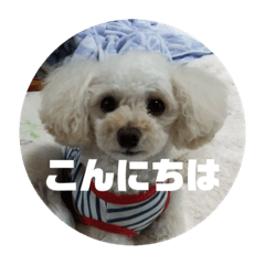 さっちゃんのわんわんスタンプ