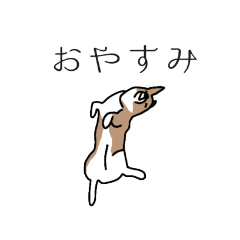 よく使う言葉〜コーギー編〜