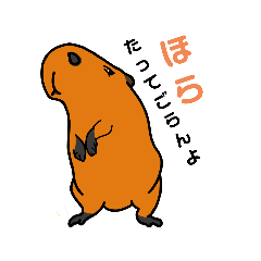 カピバラです①