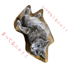 ナツスタンプ#2