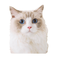 たらお’sスタンプ