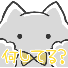 黄色推しねこ(報告)
