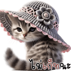 Cute cat American Shorthair V.3