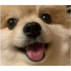 そらくんのスタンプ♡♡