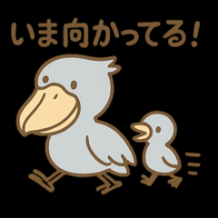 親ハシビロコウは静かに限界へ。